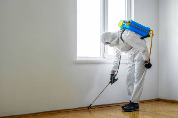 Reliable Tarpey Village, CA Pest Control Solutions