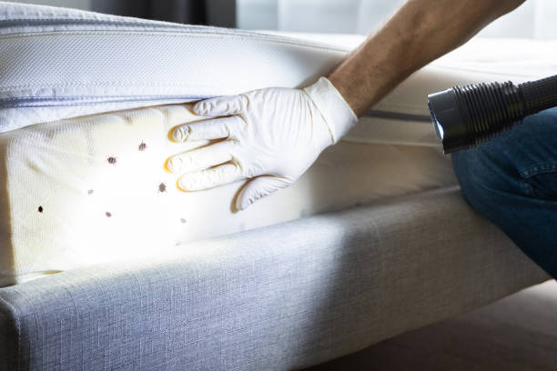 Best Exterminator Services  in Tarpey Village, CA