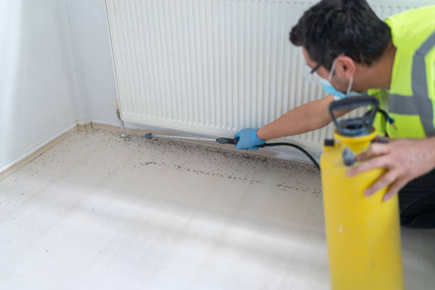 Best Bed Bug Extermination  in Tarpey Village, CA